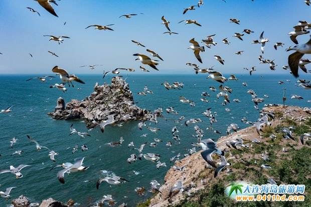 �LɽȺ�u���Ҽ����ζȼم^