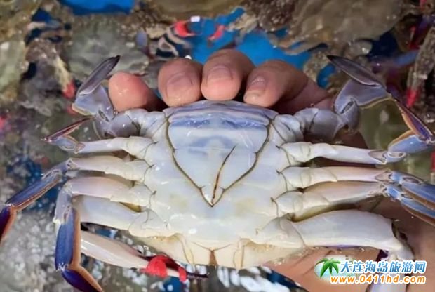 �LɽȺ�u���Ҽ����ζȼم^