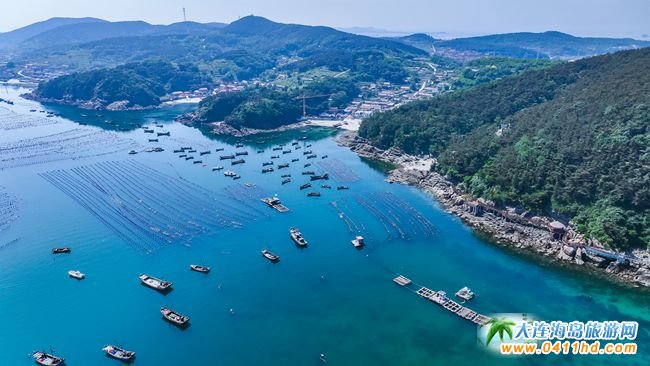 ���B���u����