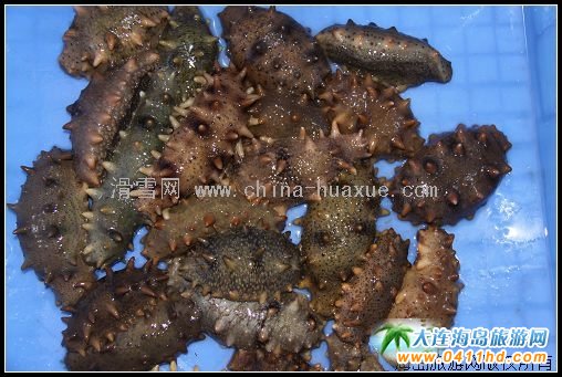 2009�Ї��|���؅^�GɫʳƷ���[��